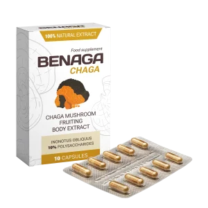 Benaga Chaga